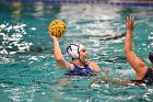 WWPolo @ CC  Wheaton College Women’s Water Polo at Connecticut College. - Photo By: KEITH NORDSTROM : Wheaton, water polo